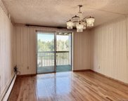 1302 S Parker Road Unit 337, Denver image