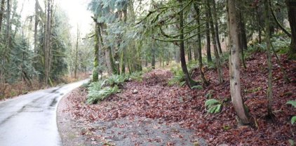 18700 SE 64TH Way, Issaquah