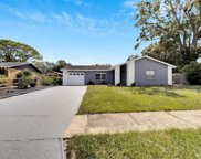 6221 Frost Drive, Tampa image