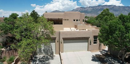 9216 Autumn Rose Drive NE, Albuquerque