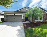 11516 Blue Crane Street, Riverview image