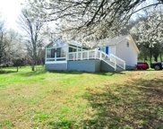 4010 Rippey Lake Rd, Mount Pleasant image