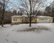 7328 Rolling Pines Drive, Howard City image