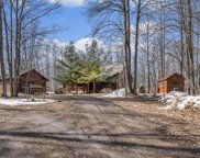 10149 Tittabawassee Trail, Gaylord image