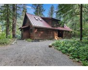 57953 DRURY LN, McKenzie Bridge image