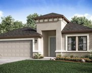 1961 Goblet Cove Street, Kissimmee image