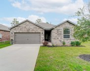 9041 Oval Glass Street, Conroe image