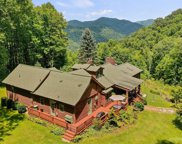 290 Last Mohican  Trail, Clyde image