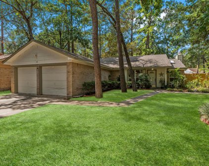 17 Rock Pine Court, The Woodlands