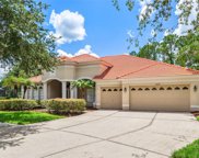 10222 Arbor Side Drive, Tampa image