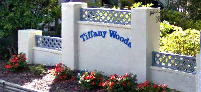 Homes for Sale in Tiffany Woods