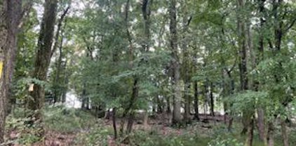 Lot 79 Mushroom Hill Rd, Harrisburg