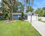 10322 N 53rd Street, Temple Terrace image