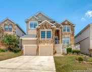 21339 La Pena Dr, San Antonio image