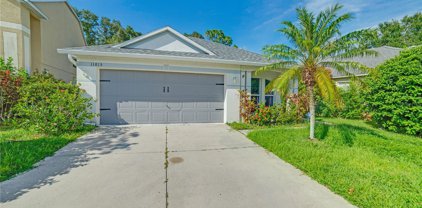 11815 Acorn Woods Terrace, Lakewood Ranch