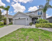 12102 Whistling Wind Drive, Riverview image
