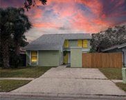 10306 Green Grove Place, Tampa image