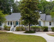 64 Forest Lake Dr, Daufuskie Island image
