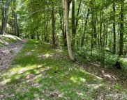 Rabun Branch Road, Scaly Mountain image