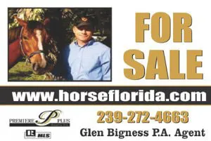 Horse Florida Calling Card