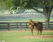 26 Trento Street Unit Lot 26;Phase 3, Fairhope image
