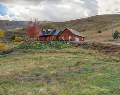23 Buffalo, Horseshoe Bend