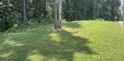 00 Forest Dr, Russellville