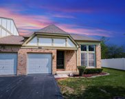 14769 Lakeview Drive, Orland Park image