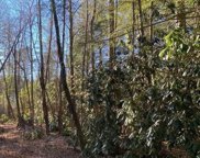 Balm Highway, Banner Elk image