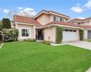 20 Mapache, Rancho Santa Margarita image