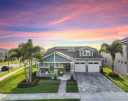 16406 Olive Hill Drive, Winter Garden image