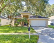 4638 Dunnie Drive, Tampa image