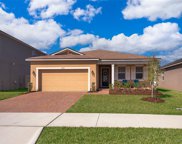 2942 Angelonia Thorn Way, Clermont image