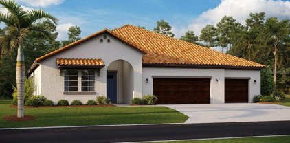5361 Windy Grove Drive, Wimauma