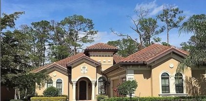 11206 Adora  Court, Fort Myers
