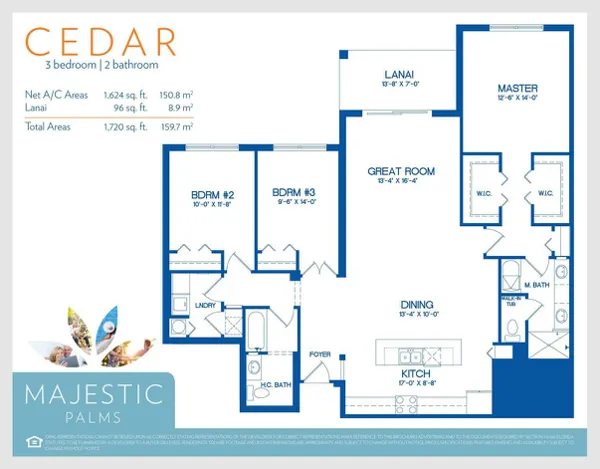 Cedar