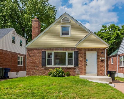 4217 Prather  Avenue, St Louis