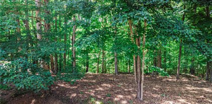 0000 Forest Meadow Lane, Clemmons
