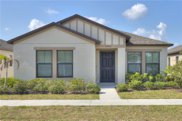12403 Streambed Drive, Riverview image