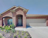 9117 Sycamore Leaf  Drive, Fort Worth image