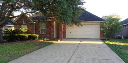 7512 Waterlilly Lane, Pearland