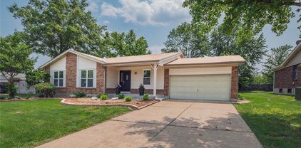 5116 Bryncastle  Place, St Louis