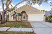11711 Carrollwood Cove Drive, Tampa image