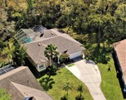 4710 Basswood Street, Land O' Lakes image