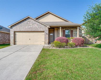 2519 Amy Lee Drive, Conroe