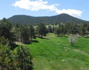 1098 Silverheels, Larkspur image