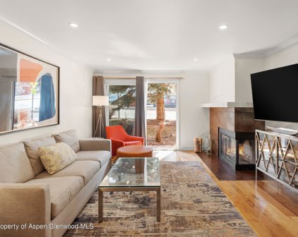 205 E Durant Avenue Unit #1B, Aspen