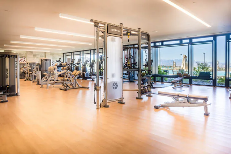 Ascaya, Henderson Real Estate 13