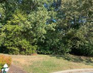 6503 Thurlow Court, Whitsett image