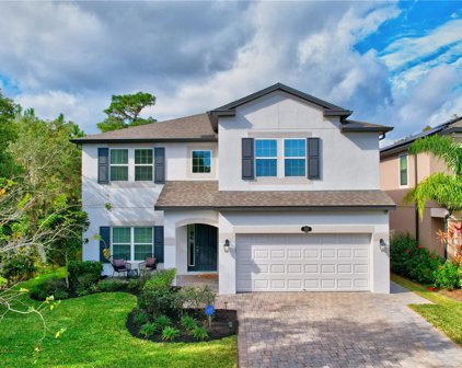 1531 Leaf Flower Lane, Lutz